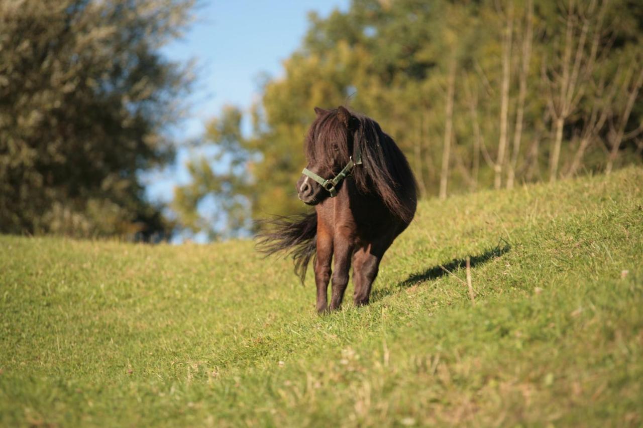 Ferienhof Muehlthal Edling Bagian luar foto