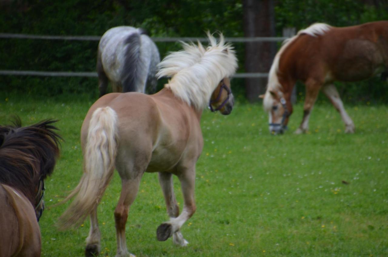 Ferienhof Muehlthal Edling Bagian luar foto